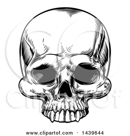 Clipart of a Black and White Woodcut Etched or Engraved Skull - Royalty Free Vector Illustration by AtStockIllustration