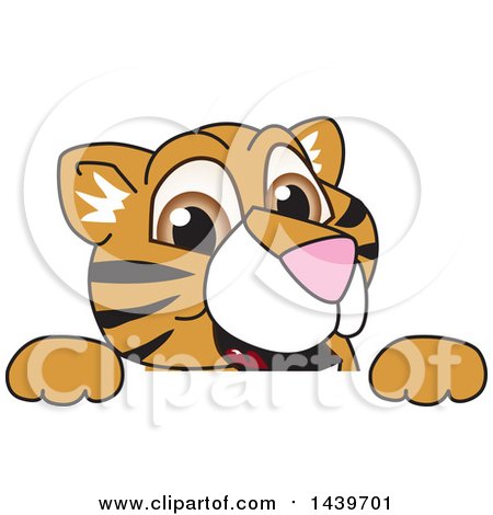 Clipart of a Tiger Cub School Mascot Character Looking over a Sign - Royalty Free Vector Illustration by Mascot Junction