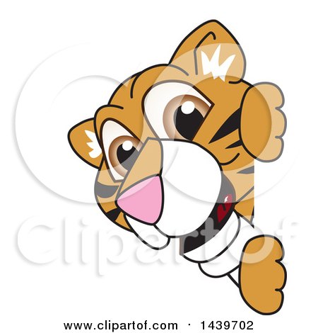 Clipart of a Tiger Cub School Mascot Character Looking Around a Sign - Royalty Free Vector Illustration by Mascot Junction