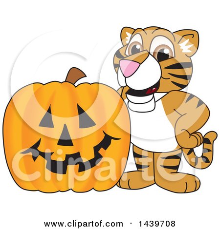 Clipart of a Tiger Cub School Mascot Character with a Halloween Pumpkin - Royalty Free Vector Illustration by Mascot Junction