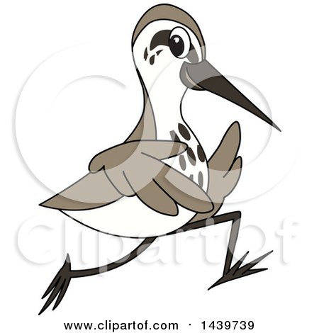 Clipart of a Sandpiper Bird School Mascot Character Running - Royalty Free Vector Illustration by Mascot Junction