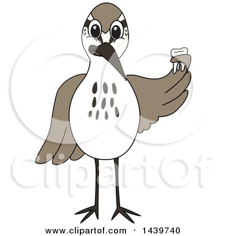 Clipart of a Sandpiper Bird School Mascot Character Holding a Tooth - Royalty Free Vector Illustration by Mascot Junction