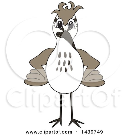 Clipart of a Sandpiper Bird School Mascot Character - Royalty Free Vector Illustration by Mascot Junction