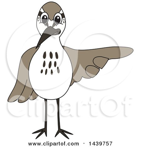 Clipart of a Sandpiper Bird School Mascot Character Pointing - Royalty Free Vector Illustration by Mascot Junction