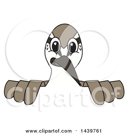 Clipart of a Sandpiper Bird School Mascot Character Looking over a Sign - Royalty Free Vector Illustration by Mascot Junction