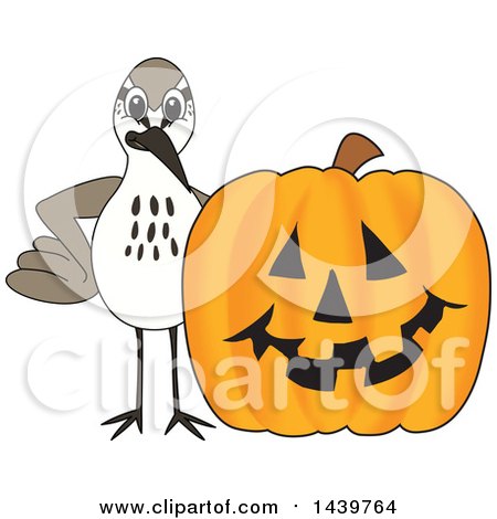 Clipart of a Sandpiper Bird School Mascot Character with a Halloween Pumpkin - Royalty Free Vector Illustration by Mascot Junction