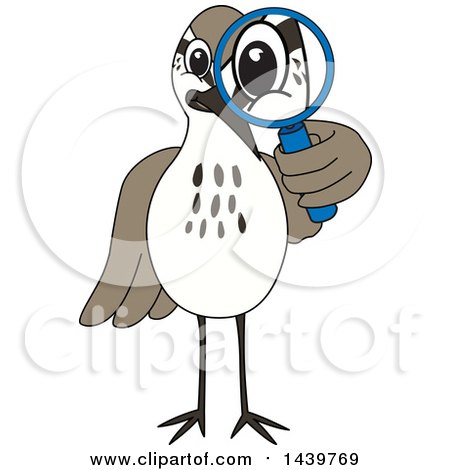 Clipart of a Sandpiper Bird School Mascot Character Looking Through a Magnifying Glass - Royalty Free Vector Illustration by Mascot Junction