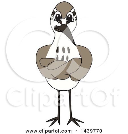 Clipart of a Sandpiper Bird School Mascot Character with Folded Arms - Royalty Free Vector Illustration by Mascot Junction