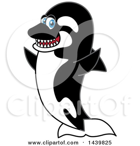 Clipart of a Killer Whale Orca School Mascot Character Cheering - Royalty Free Vector Illustration by Mascot Junction
