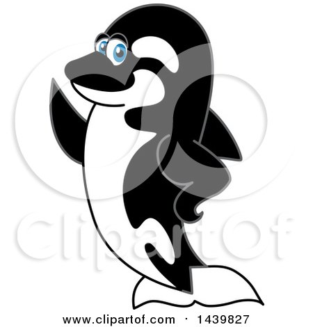 Clipart of a Killer Whale Orca School Mascot Character Presenting or Waving - Royalty Free Vector Illustration by Mascot Junction