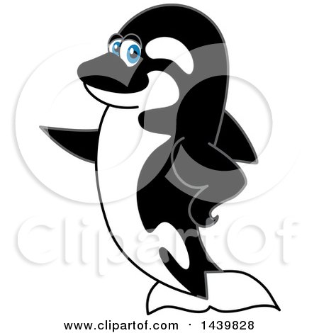 Clipart of a Killer Whale Orca School Mascot Character Pointing - Royalty Free Vector Illustration by Mascot Junction