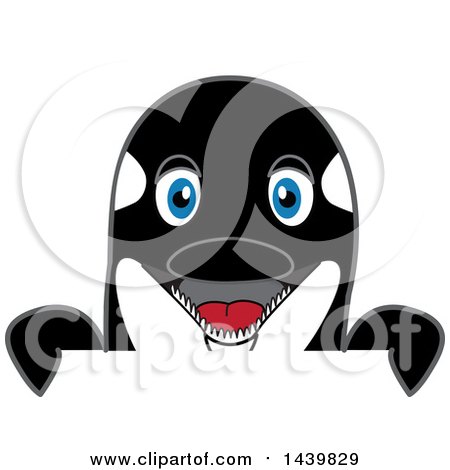 Clipart of a Killer Whale Orca School Mascot Character Looking over a Sign - Royalty Free Vector Illustration by Mascot Junction