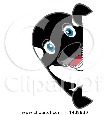 Clipart of a Killer Whale Orca School Mascot Character Looking Around a Sign - Royalty Free Vector Illustration by Mascot Junction