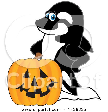 Clipart of a Killer Whale Orca School Mascot Character with a Halloween Pumpkin - Royalty Free Vector Illustration by Mascot Junction