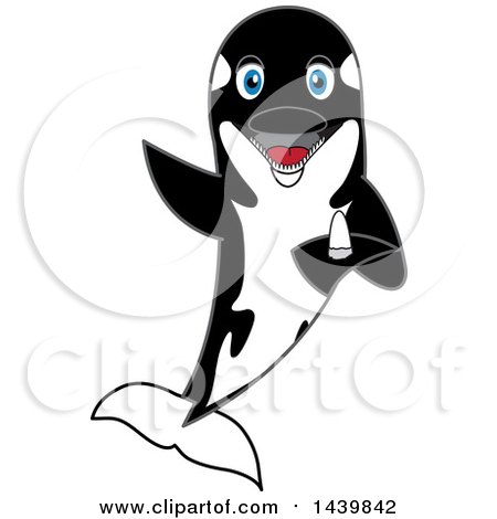 Clipart of a Killer Whale Orca School Mascot Character Holding a Tooth - Royalty Free Vector Illustration by Mascot Junction