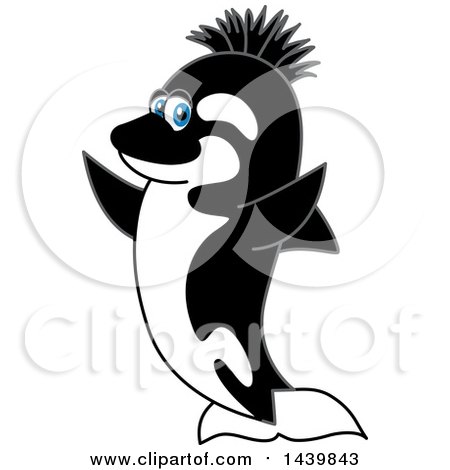 Clipart of a Killer Whale Orca School Mascot Character with a Mohawk - Royalty Free Vector Illustration by Mascot Junction