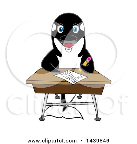 Clipart of a Killer Whale Orca School Mascot Character Student Taking a Quiz - Royalty Free Vector Illustration by Mascot Junction