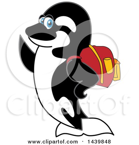 Clipart of a Killer Whale Orca School Mascot Character Wearing a Backpack - Royalty Free Vector Illustration by Mascot Junction