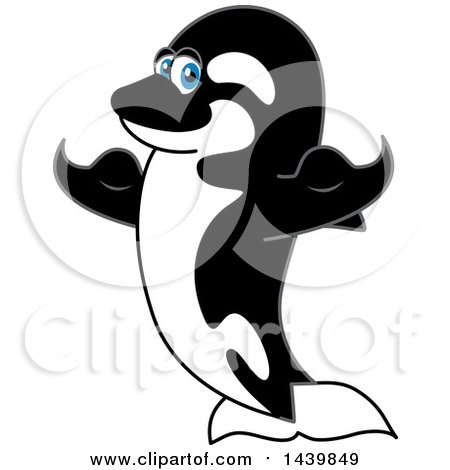 Clipart of a Killer Whale Orca School Mascot Character Flexing - Royalty Free Vector Illustration by Mascot Junction