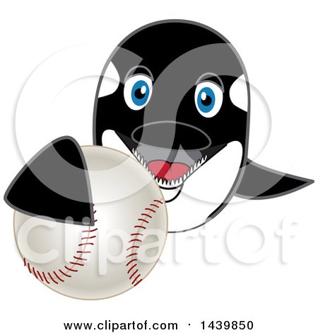 Clipart of a Killer Whale Orca School Mascot Character Grabbing a Baseball - Royalty Free Vector Illustration by Mascot Junction