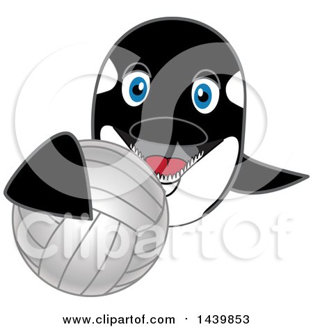 Clipart of a Killer Whale Orca School Mascot Character Grabbing a Volleyball - Royalty Free Vector Illustration by Mascot Junction