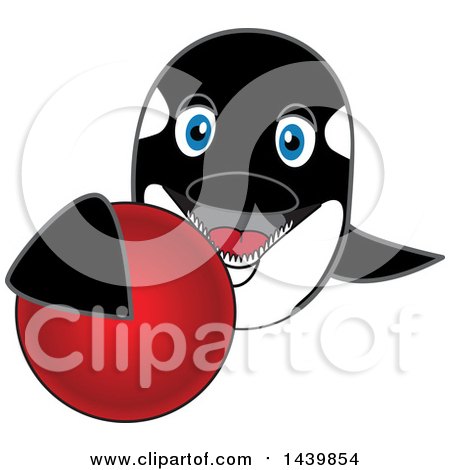 Clipart of a Killer Whale Orca School Mascot Character Grabbing a Red Ball - Royalty Free Vector Illustration by Mascot Junction