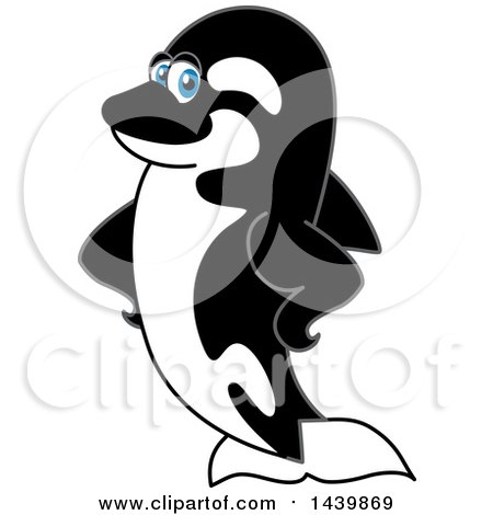 Clipart of a Killer Whale Orca School Mascot Character with Fins on His Hips - Royalty Free Vector Illustration by Mascot Junction