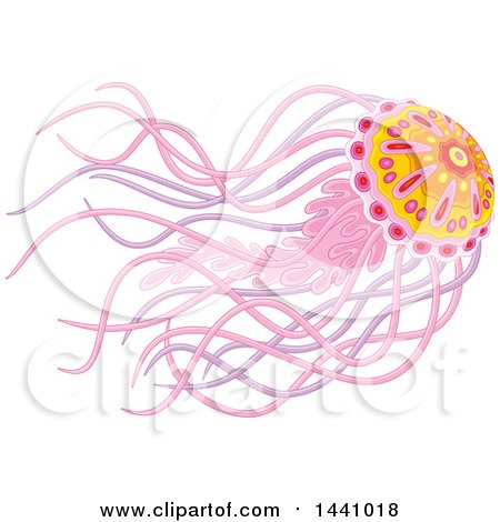 Clipart of a Beautiful Jellyfish - Royalty Free Vector Illustration by Alex Bannykh