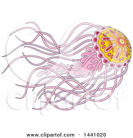 Clipart of a Cartoon Beautiful Jellyfish - Royalty Free Vector Illustration by Alex Bannykh