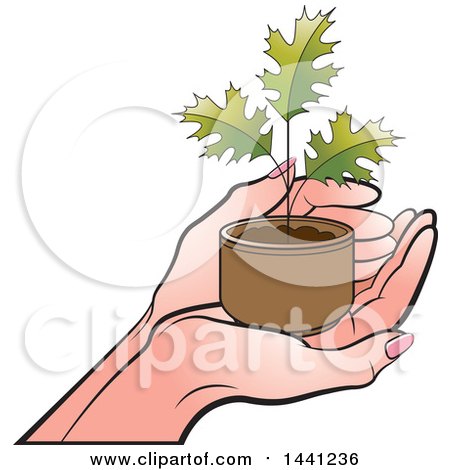 Clipart of a Hand Holding a Seedling Maple Plant - Royalty Free Vector Illustration by Lal Perera