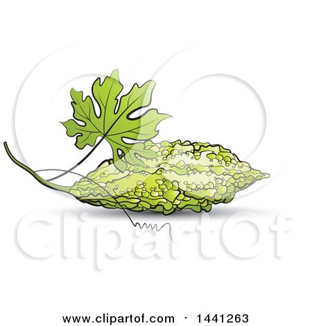 Clipart of a Bitter Gourd Melon and Leaf - Royalty Free Vector Illustration by Lal Perera