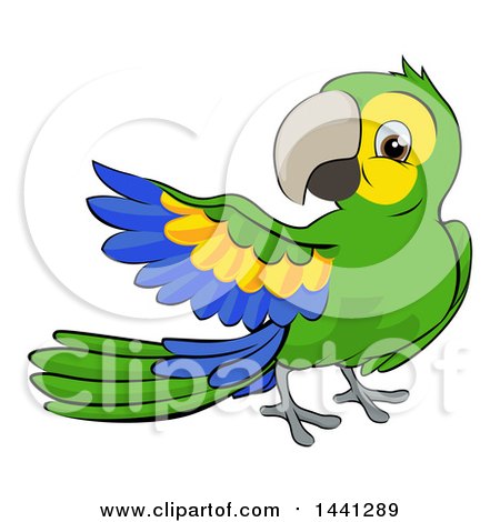 Clipart of a Cartoon Green Macaw Parrot Presenting - Royalty Free Vector Illustration by AtStockIllustration