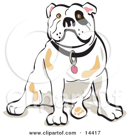 Bulldog Sitting Clipart Illustration by Andy Nortnik