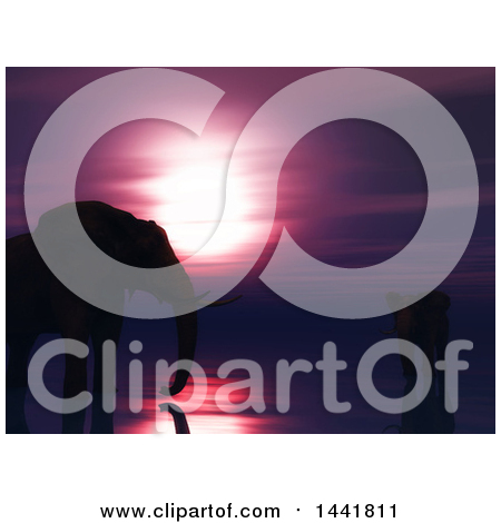 Clipart of 3d Silhouetted Elephants Under a Pink Sunset Sky - Royalty Free Illustration by KJ Pargeter