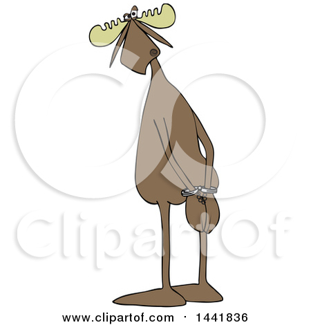 Clipart of a Cartoon Moose Criminal with His Hands Cuffed - Royalty Free Vector Illustration by djart