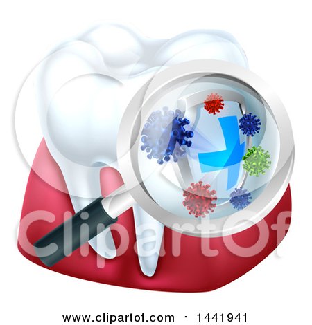 Clipart of a Magnifying Glass over a Tooth and Gums, Displaying Bacteria and a Shield - Royalty Free Vector Illustration by AtStockIllustration