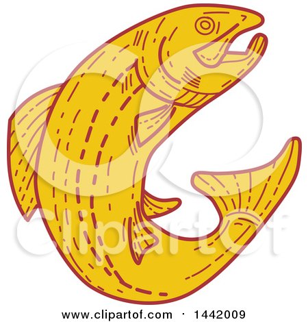 Clipart of a Mono Line Styled Leaping Rainbow Trout Fish - Royalty Free Vector Illustration by patrimonio