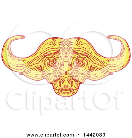 Clipart of a Mono Line Styled African Cape Buffalo Head - Royalty Free Vector Illustration by patrimonio