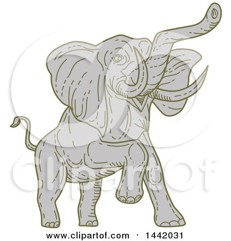 Clipart of a Mono Line Styled Angry Elephant - Royalty Free Vector Illustration by patrimonio