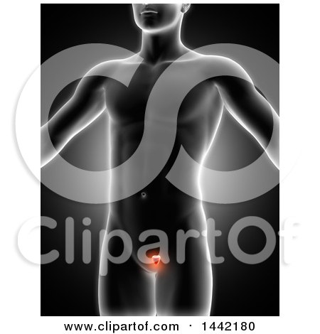 Clipart of a 3d Xray Man with Highlighted Red Prostate on Black - Royalty Free Illustration by KJ Pargeter