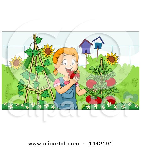 Clipart of a Cartoon Red Haired Caucasian Girl Eating Fresh Tomatoes in Her Garden - Royalty Free Vector Illustration by BNP Design Studio