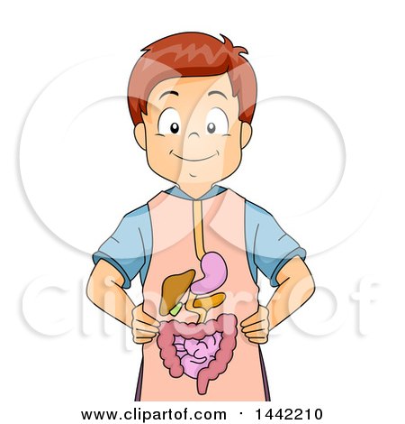 Clipart of a Cartoon Caucasian School Boy Wearing a Digestive System Apron - Royalty Free Vector Illustration by BNP Design Studio