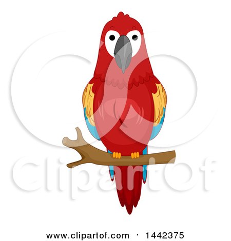 Clipart of a Scarlet Macaw on a Branch - Royalty Free Vector Illustration by BNP Design Studio