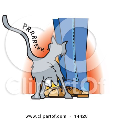 Cute Gray Cat Purring and Rubbing on a Person's Legs Clipart Illustration by Andy Nortnik
