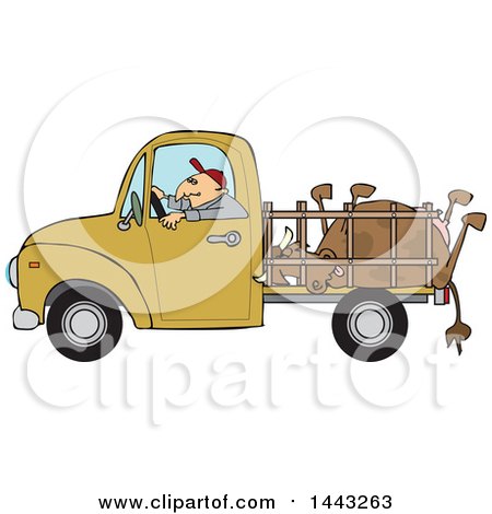 Clipart of a Cartoon White Man Driving a Pickup Truck and Hauling a Dead Cow - Royalty Free Vector Illustration by djart