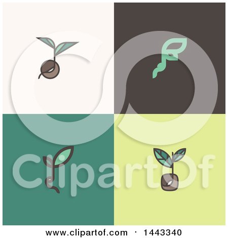 Clipart of Seeds and Plant Leaves - Royalty Free Vector Illustration by elena