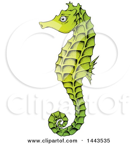 Clipart of a Gradient Green Sea Horse - Royalty Free Vector Illustration by cidepix