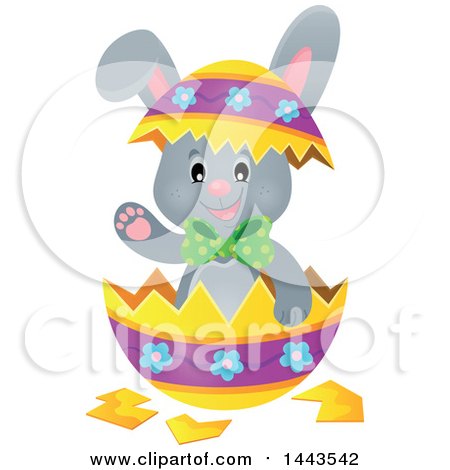 Clipart of a Gray Easter Bunny Rabbit in a Cracked Decorated Egg Shell - Royalty Free Vector Illustration by visekart