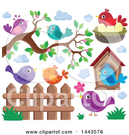Clipart of Colorful Birds - Royalty Free Vector Illustration by visekart