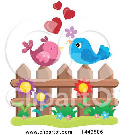 Clipart of a Love Bird Valentine Couple with Hearts and a Flower on a Fence - Royalty Free Vector Illustration by visekart